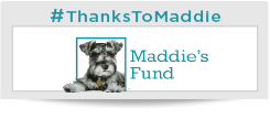 Thank You Maddies Fund