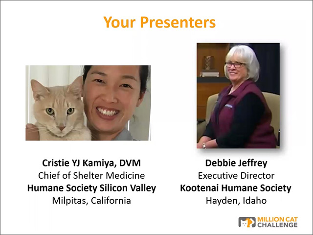 Cat Portals webinar presenters Kamiya and Jeffrey