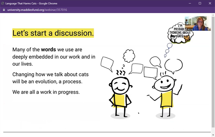 Language that harms cats webinar screengrab