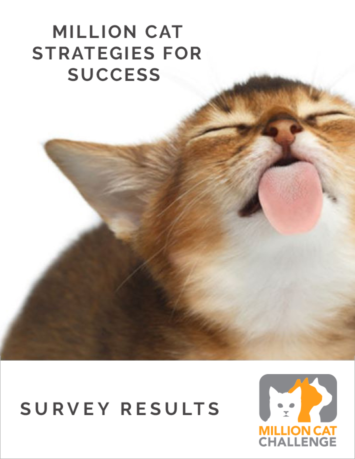 Million Cat Strategies for Success Survey Results