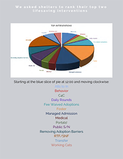 Top two interventions page of Strategies for Success Survey Results